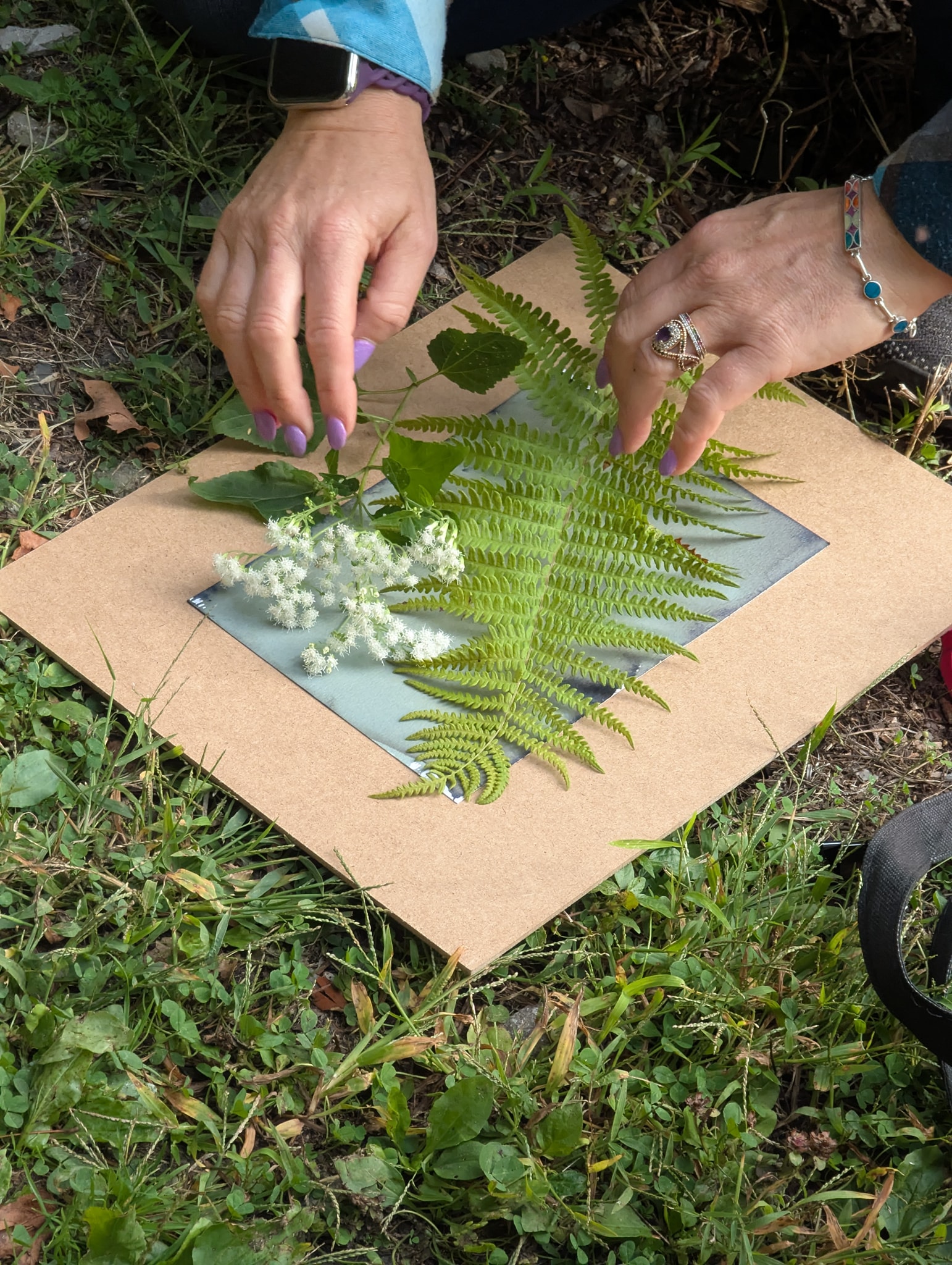Reinstein Cyanotype 3